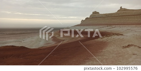 102995576