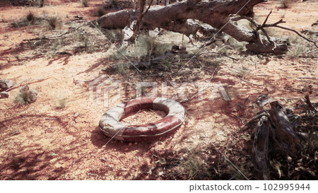 life ring buoy in desert beach life ring buoy in desert beach 102995944