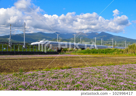 Haru Hanahata Shinkansen Haru Hanahata Shinkansen 102996417