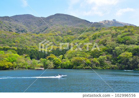 Lake Ashinoko 102996556