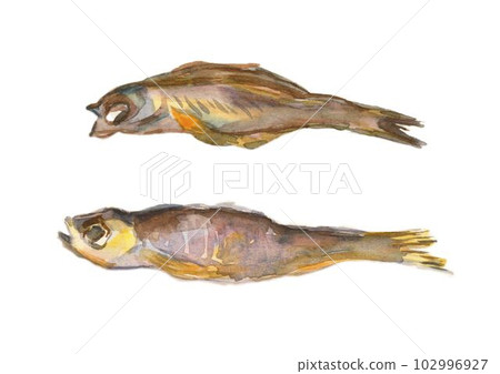 Two dried fish for beer. Watercolor illustration. 102996927