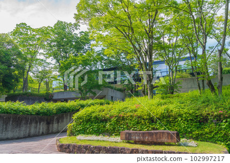 綠意盎然的愛知縣立綠化中心<愛知縣豐田市> 綠意盎然的愛知縣立綠化中心<愛知縣豐田市> 102997217