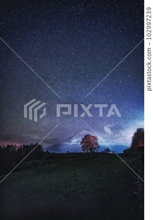 懷舊明星 懷舊明星 102997239