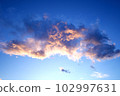 黃昏天空中的雲彩 102997631