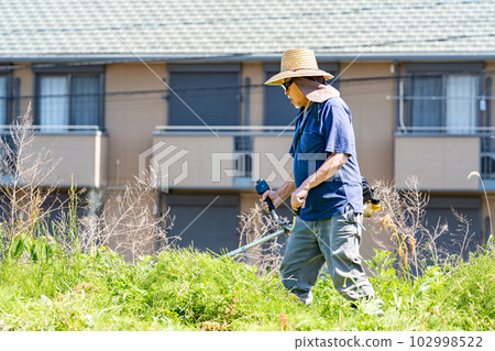 Elderly man mowing with a mower in early summer 102998522