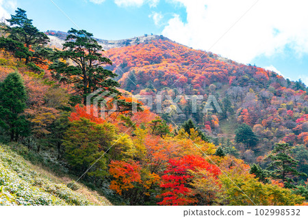 【日本名山100】德島縣三好市秋之坡和劍山 102998532