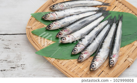 Anchovy Anchovy 102999808