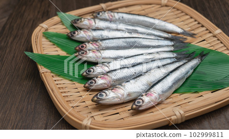 Anchovy Anchovy 102999811
