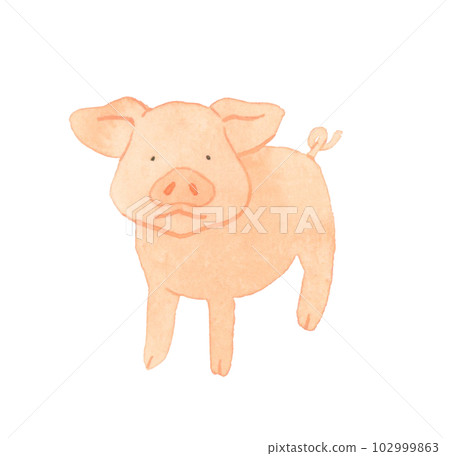 小豬（迷你豬）可愛鬆散動物手繪水彩插畫素材 102999863