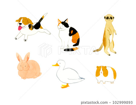 可愛鬆散動物手繪水彩插畫素材合集(狗,貓,兔,鴨,天竺鼠,貓鼬) 可愛鬆散動物手繪水彩插畫素材合集(狗,貓,兔,鴨,天竺鼠,貓鼬) 102999893