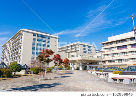 Kyoto University Hospital 102999946