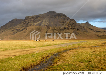Country with a mountain and cows on the pasture, Iceland 103000123