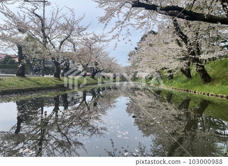 森和櫻花 森和櫻花 103000988