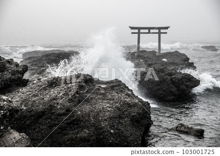 [茨城縣]晨霧中的大洗磯崎神社海上鳥居 103001725
