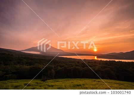 [山梨縣] Panoramadai的爆炸性富士山 103001740