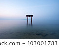 [Shiga Prefecture] Lake Biwa, Shirahige Shrine's torii gate in the morning, silence 103001783