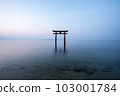 [Shiga Prefecture] Lake Biwa, Shirahige Shrine's torii gate in the morning, silence 103001784