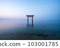 [Shiga Prefecture] Lake Biwa, Shirahige Shrine's torii gate in the morning, silence 103001785