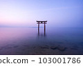 [Shiga Prefecture] Lake Biwa, Shirahige Shrine's torii gate in the morning, silence 103001786
