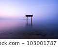 [Shiga Prefecture] Lake Biwa, Shirahige Shrine's torii gate in the morning, silence 103001787