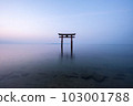 [Shiga Prefecture] Lake Biwa, Shirahige Shrine's torii gate in the morning, silence 103001788