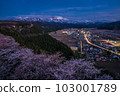 [Niigata Prefecture] Cherry blossoms at night in Miyama Park, Itoigawa City 103001789