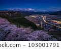 [Niigata Prefecture] Cherry blossoms at night in Miyama Park, Itoigawa City 103001791