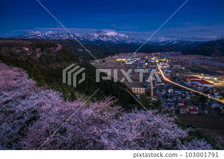 [Niigata Prefecture] Cherry blossoms at night in Miyama Park, Itoigawa City 103001791