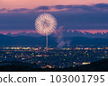 [Niigata Prefecture] Nagaoka Fireworks Shiragiku 103001795