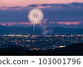[Niigata Prefecture] Nagaoka Fireworks Shiragiku 103001796