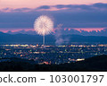 [Niigata Prefecture] Nagaoka Fireworks Shiragiku 103001797