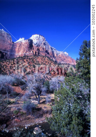 錫安國家公園的景觀 錫安國家公園的景觀 103002245
