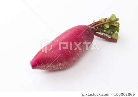 Red radish white background 103002869