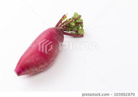Red radish white background Red radish white background 103002870