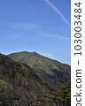 Kenzan 103003484