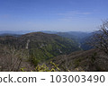 Kenzan 103003490