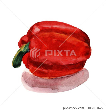 Red sweet Bulgarian pepper. Paprika highlighted on a white background Red sweet Bulgarian pepper. Paprika highlighted on a white background 103004622