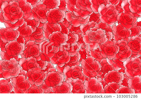 少女紅玫瑰卡1張 少女紅玫瑰卡1張 103005286