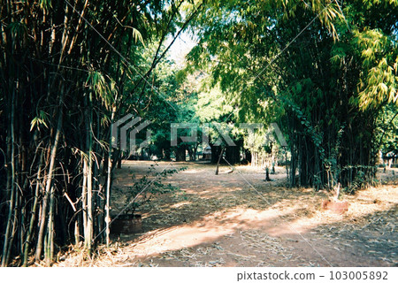 India Rajgir Bamboo Grove Ruins January 1995 103005892