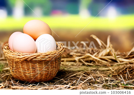 grass, egg, basket 103006416