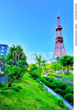 Landscape of Soseigawa Park in the center of Sapporo City where lilac flowers bloom Landscape of Soseigawa Park in the center of Sapporo City where lilac flowers bloom 103007048