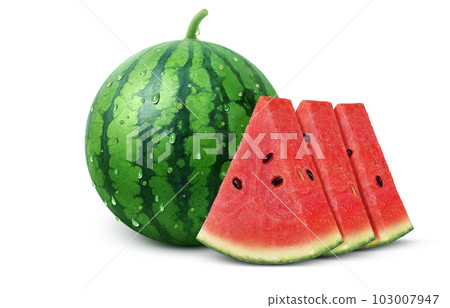 西瓜插圖真實 103007947