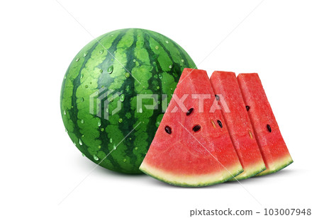 Watermelon illustration real Watermelon illustration real 103007948