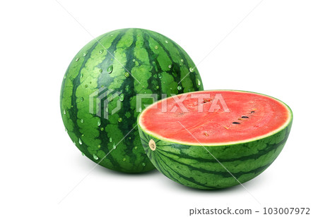 西瓜插圖真實 103007972