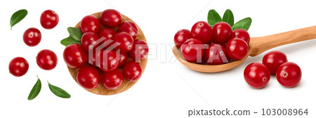 Cranberry in wooden bowl isolated on white background with full depth of field. Top view. Flat lay Cranberry in wooden bowl isolated on white background with full depth of field. Top view. Flat lay 103008964