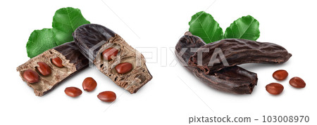 Ripe carob pods and bean isolated on white background with full depth of field Ripe carob pods and bean isolated on white background with full depth of field 103008970