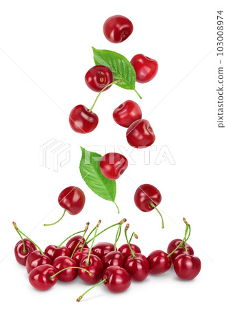 red sweet cherry isolated on white background with full depth of field red sweet cherry isolated on white background with full depth of field 103008974