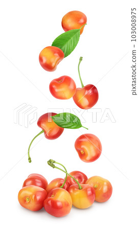 yellow-red sweet cherry isolated on white background with full depth of field yellow-red sweet cherry isolated on white background with full depth of field 103008975