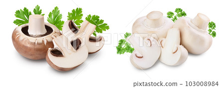 Royal Brown and white champignon isolated on white background with full depth of field Royal Brown and white champignon isolated on white background with full depth of field 103008984