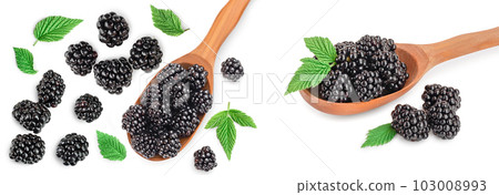 blackberry isolated on a white background closeup. Full depth of field. Top view. Flat lay 103008993